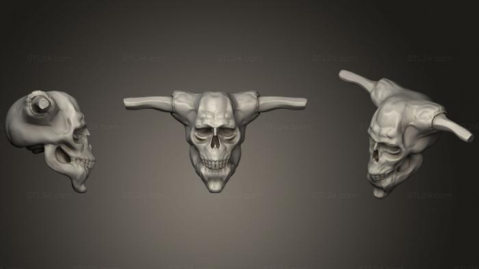 Anatomy of skeletons and skulls (Horn Head, ANTM_0662) 3D models for cnc